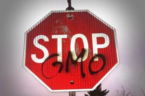 5744ae11dc067 kategoria9[1]